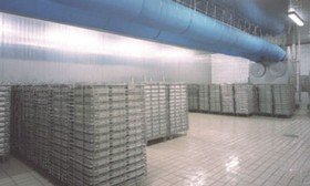 cheese-refrigeration-cheese-storage-01