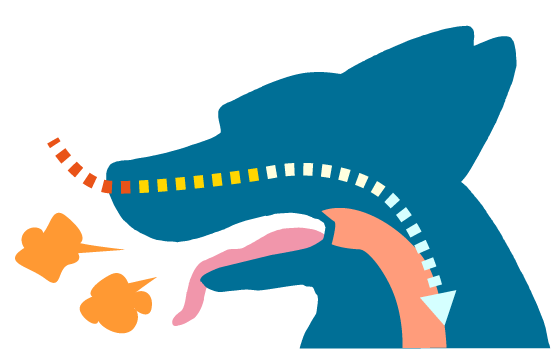 Wide pharyngeal airways and efficient heat dissipation