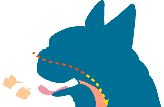 WideNarrowed pharyngeal airways reduce