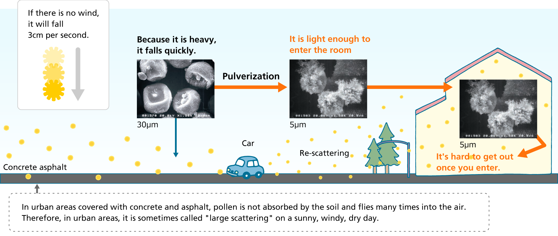 Prevent pollen