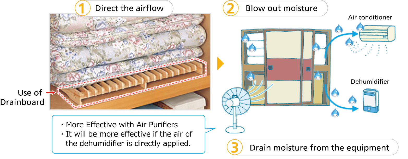 Mold removal in closet